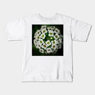 Sweet Alyssum Close-Up Kids T-Shirt